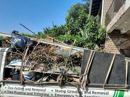 Best Moving and Downsizing Cleanouts  in Glen Raven, NC